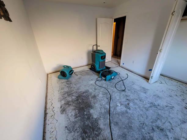 Best 24/7 water damage repair  in Greene, IA