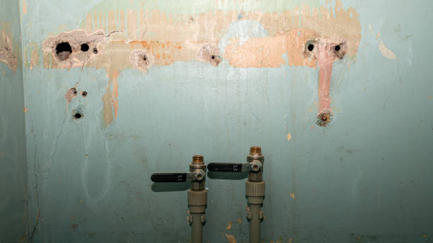Trusted Greene, IA Water damage restoration Experts