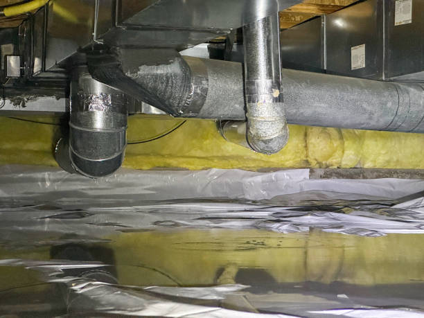 Best Water damage restoration near me  in Greene, IA