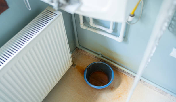 Best Professional water damage repair  in Greene, IA