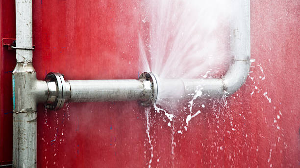Best Residential water damage restoration  in Greene, IA